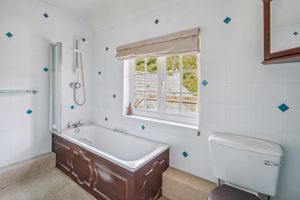 Photo 10- click for photo gallery